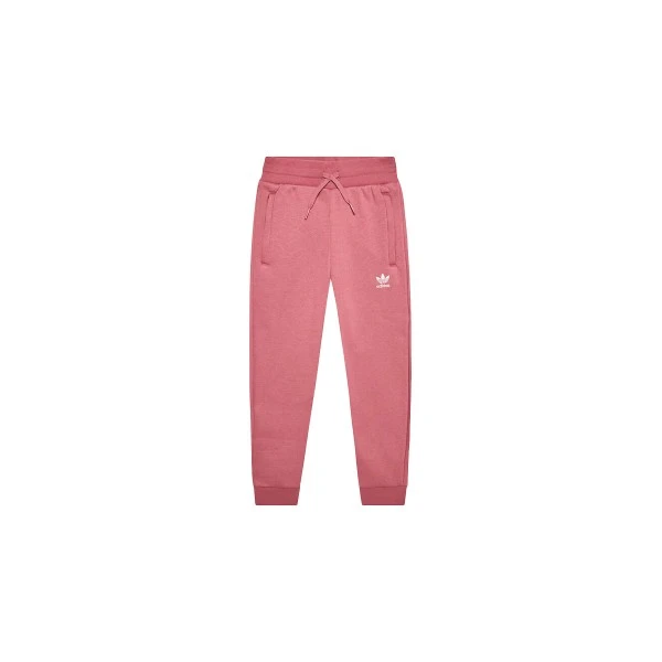 Adidas Originals Adicolor Παντελόνι Φόρμας (IC6136)