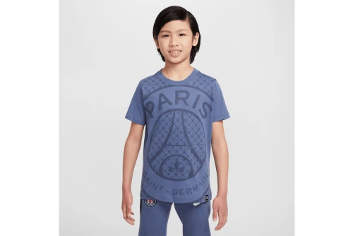 Nike Paris Saint-Germain T-Shirt (IF0512 491)