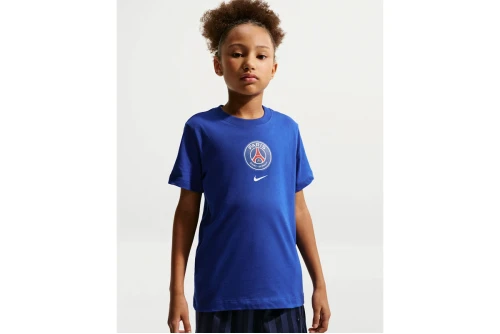 Nike Paris Saint-Germain T-Shirt (IM1713 417)