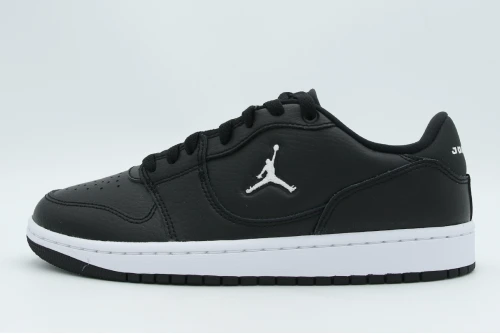 Jordan Court Connect Low Sneakers (IQ6016 001)