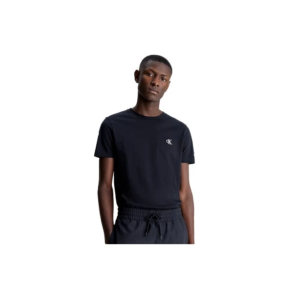 Calvin Klein Cotton Slim Fit T-Shirt Ανδρικό (J30J314544 BAE)