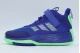 Adidas Performance Ownthegame 3.0 Παιδικά Μπασκετικά Παπούτσια Μπλε