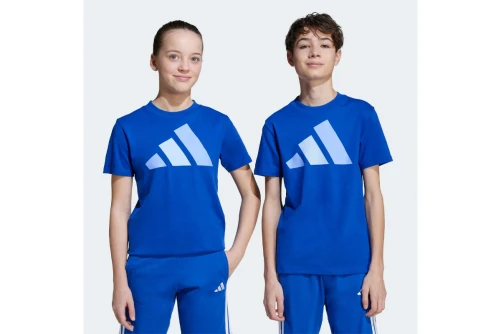 Adidas Performance Essentials Big Logo T-Shirt (JV9866)