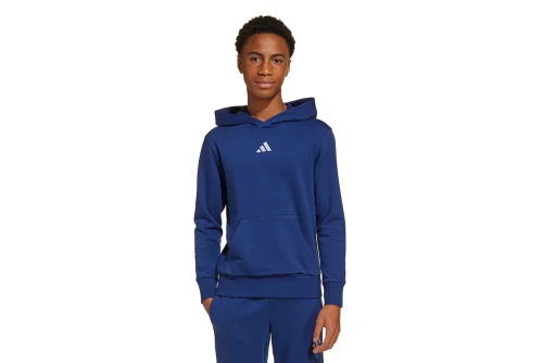 Adidas Performance Essentials Fleece Hoodie (JY0612)