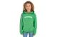Tommy Jeans Arched Hoodie (KB0KB08290 LY3)