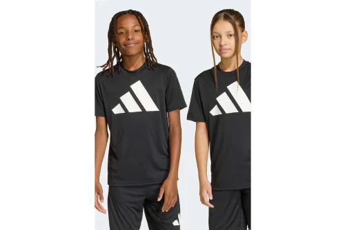 Adidas Performance Training Essentials Big Logo T-Shirt (KB6805)