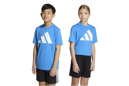 Adidas Performance Training Essentials Big Logo T-Shirt (KB6809)