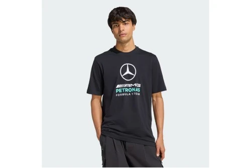 Adidas Performance Mercedes-Amg Petronas F1 Dna Graphic T-Shirt Ανδρικό (KE8163)