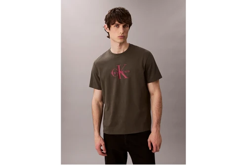 Calvin Klein Monologo T-Shirt Ανδρικό (LV04RB862G PAR)