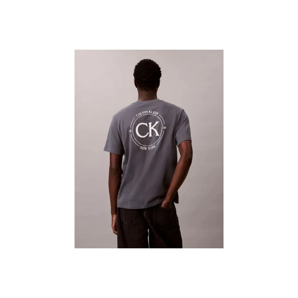 Calvin Klein Embroidered Logo T-Shirt Ανδρικό (LV04RE825G CKP)
