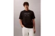 Calvin Klein Graphic Seasonal Ανδρικό Κοντομάνικο T-Shirt Μαύρο