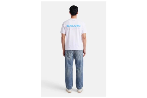 Calvin Klein Relaxed Back Logo T-Shirt Ανδρικό (LV04RG827G YAF)