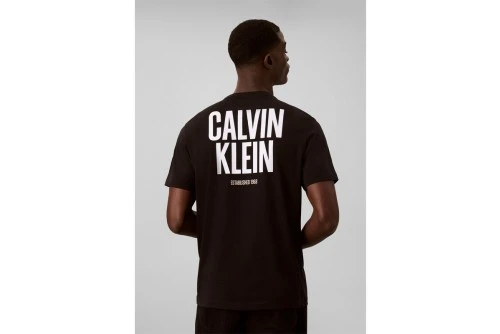 Calvin Klein Logo Graphic T-Shirt Ανδρικό (LV04RH816G UB1)