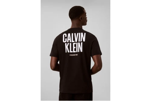 Calvin Klein Logo Graphic T-Shirt Ανδρικό (LV04RH816G UB1)