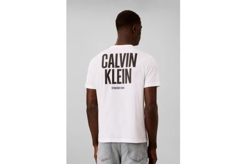 Calvin Klein Logo Graphic T-Shirt Ανδρικό (LV04RH816G YAF)