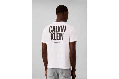 Calvin Klein Logo Graphic T-Shirt Ανδρικό (LV04RH816G YAF)