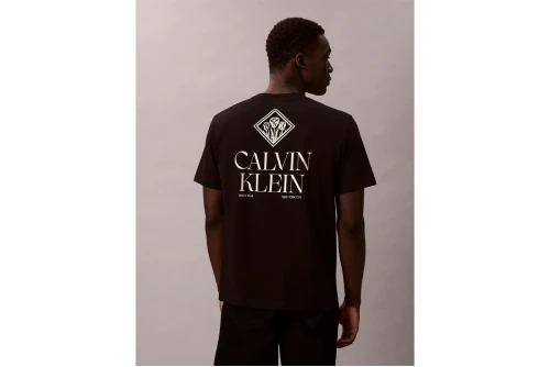 Calvin Klein Logo Roses Graphic Classic T-Shirt Ανδρικό (LV14RE801G UB1)