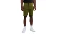 The North Face Standard Light Ανδρική Αθλητική Βερμούδα Λαδί