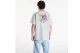 The North Face Celebration Relaxed Graphic Ανδρικό Κοντομάνικο T-Shirt Γκρι