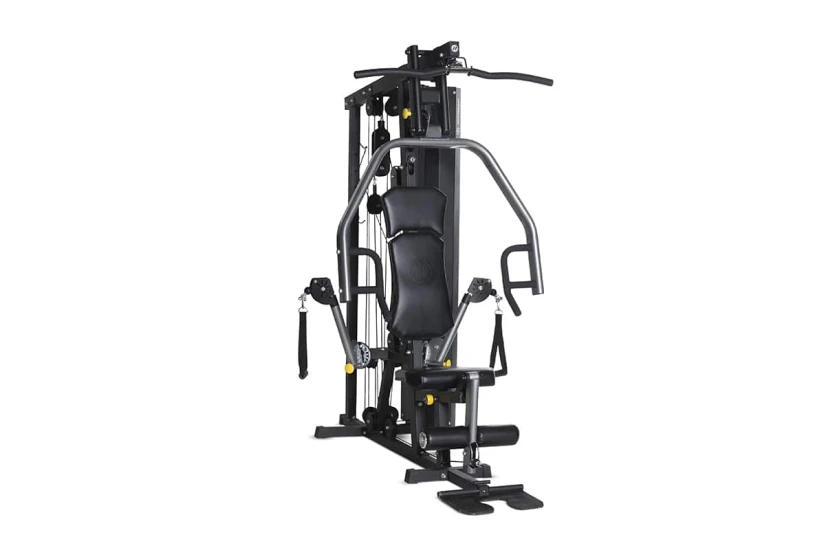 Johnson Horizon Torus 3 Πολυόργανο Γυμναστικής με Βάρη 80kg