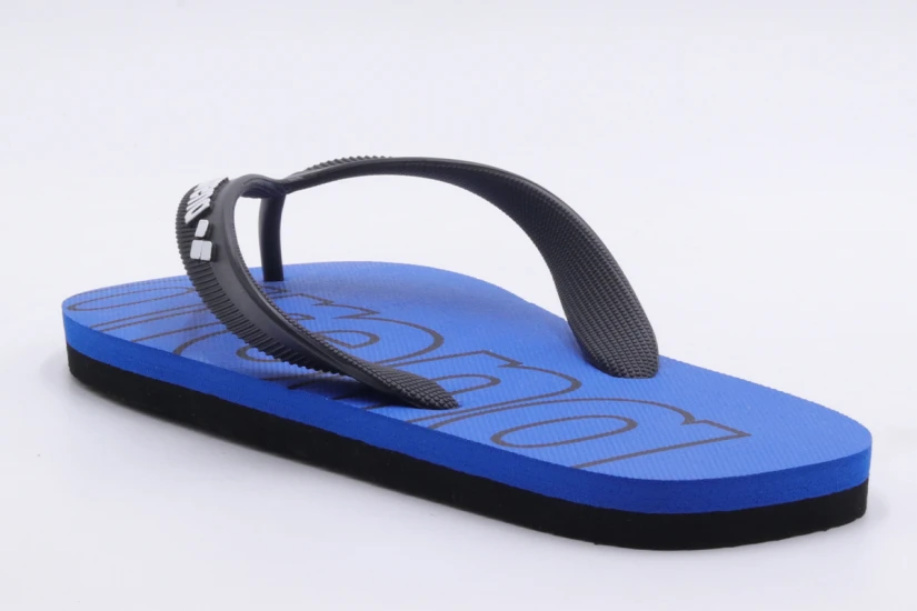 Arena Flip-Flop Σαγιονάρες (002309303)