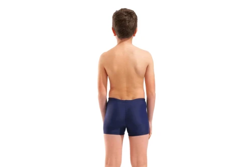 Arena Dim Light Μαγιό Boxer (008147708)