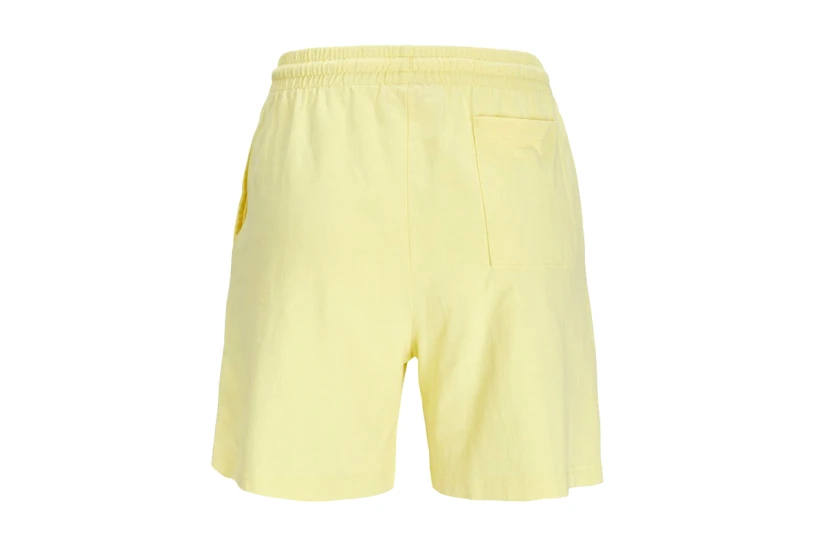 Jjxx Jxbarbara Hw Relaxed Vint Shorts Σορτς (12200372 ELFIN YELLOW)
