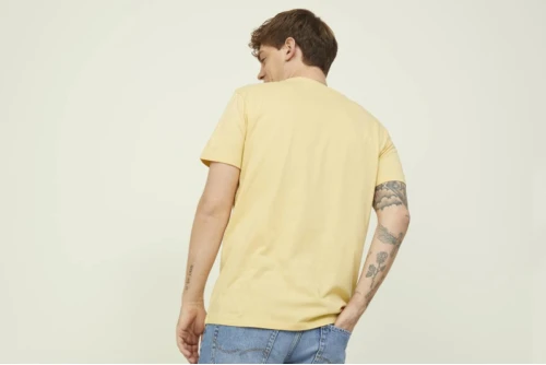 Jack And Jones Jorbooster Tee Ss Crew Neck April 22 T-Shirt Ανδρικό (12213315 STRAW PHOTO)