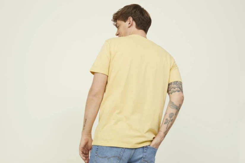 Jack And Jones Jorbooster Tee Ss Crew Neck April 22 T-Shirt Ανδρικό (12213315 STRAW PHOTO)