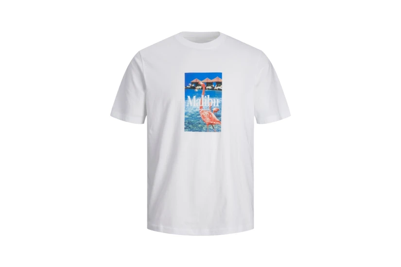 Jack And Jones Jorpalma Photo Ανδρικό Κοντομάνικο T-Shirt Λευκό