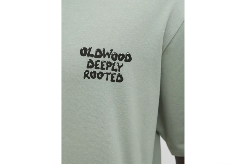 Jack And Jones Jjwobly Ανδρικό Κοντομάνικο T-Shirt Φυστικί