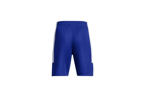 Under Armour Baseline Σορτς Αθλητικό (1383402 400)