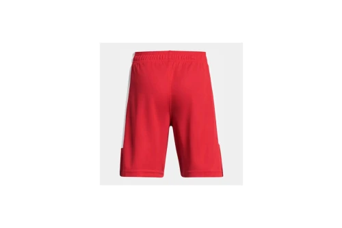 Under Armour Baseline Σορτς Αθλητικό (1383402 600)