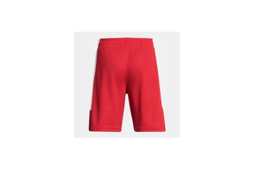 Under Armour Baseline Σορτς Αθλητικό (1383402 600)