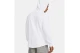 Under Armour Rival Terry Graphic Hoodie Ανδρικό (1386047 100)