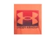 Under Armour Boxed Sports Update Παιδικό Κοντομάνικο T-Shirt Πορτοκαλί