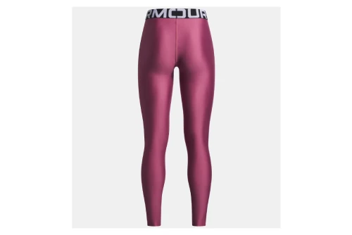 Under Armour Heatgear Κολάν Μακρύ Γυναικείο (1390069 659)
