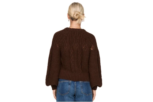 Only Scarlet Life L-S Pullover Knt Μπλούζα Πλεκτή (15267968 POTTING SOIL)