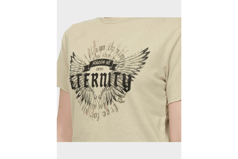 Only Onllucy Γυναικείο Κοντομάνικο T-Shirt Μπεζ