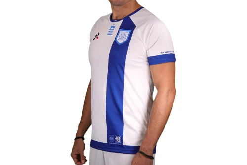 Pas Giannina Fc N 1 Maillot Match Subli (2020729)