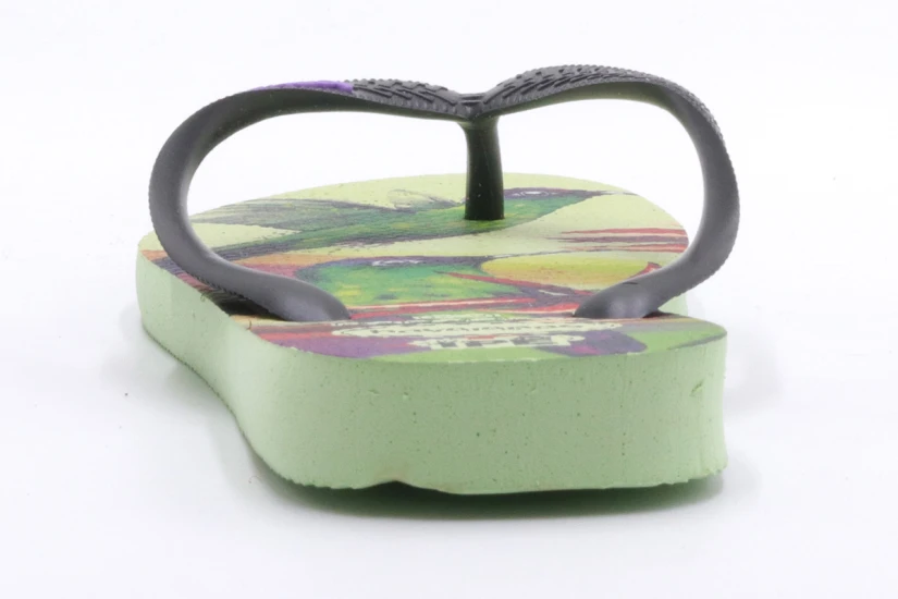 Havaianas Ipe Citronella Unisex Σαγιονάρες Πολύχρωμες