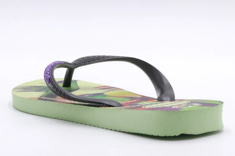 Havaianas Ipe Citronella Unisex Σαγιονάρες Πολύχρωμες