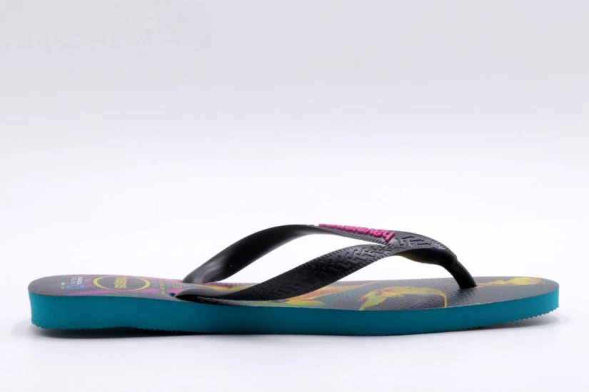 Havaianas Conversation International Σαγιονάρες Πολύχρωμες