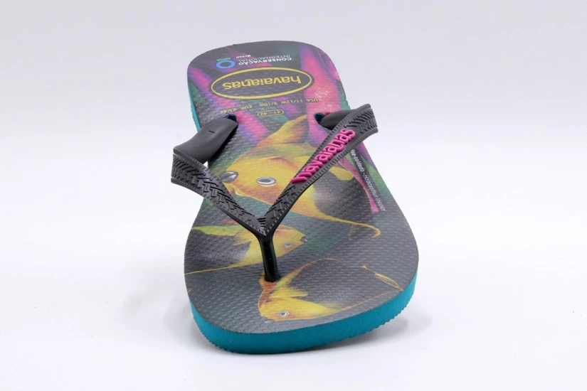 Havaianas Conversation International Σαγιονάρες Πολύχρωμες