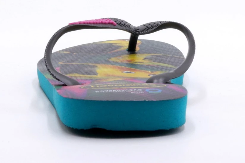 Havaianas Conversation International Σαγιονάρες Πολύχρωμες