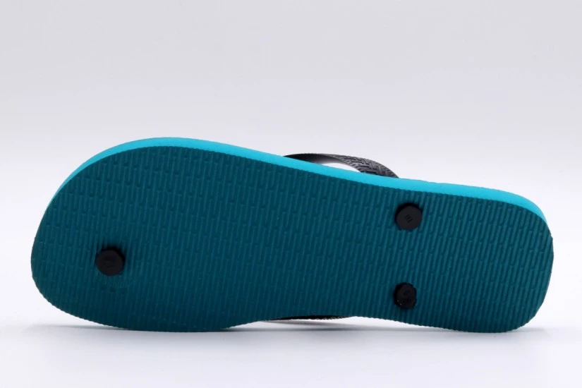 Havaianas Conversation International Σαγιονάρες Πολύχρωμες