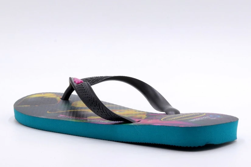 Havaianas Conversation International Σαγιονάρες Πολύχρωμες
