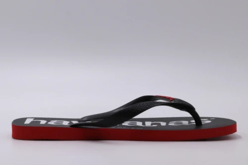 Havaianas Top Logomania 2 Σαγιονάρες (4145741 2090)