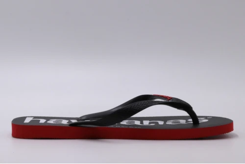 Havaianas Top Logomania 2 Σαγιονάρες (4145741 2090)