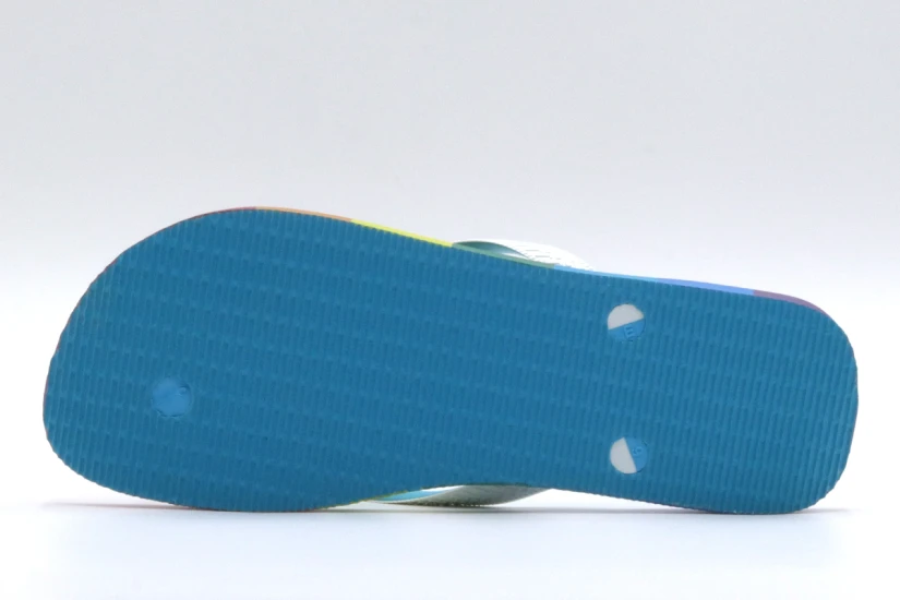 Havaianas Top Pride Allover Unisex Σαγιονάρες Πολύχρωμες